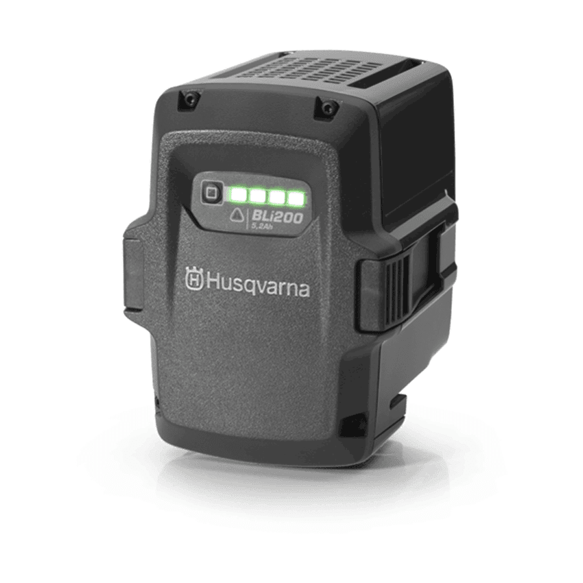 Wechselakku BLi200 (187,2 Wh)
